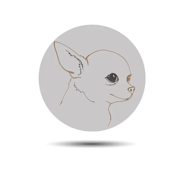 Dog vector small drawing illustration pet animal — Stock Vector