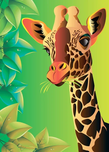 giraffe vector animal wild african tall