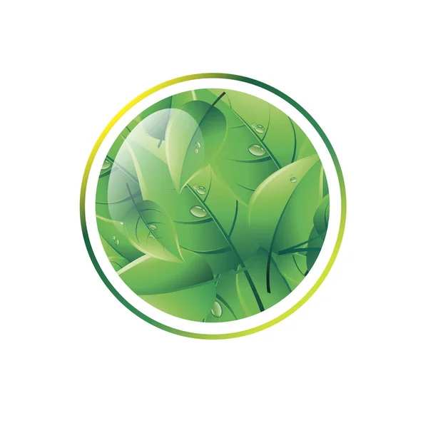Grønn vektorbakgrunn - ren natur - økotype – stockvektor