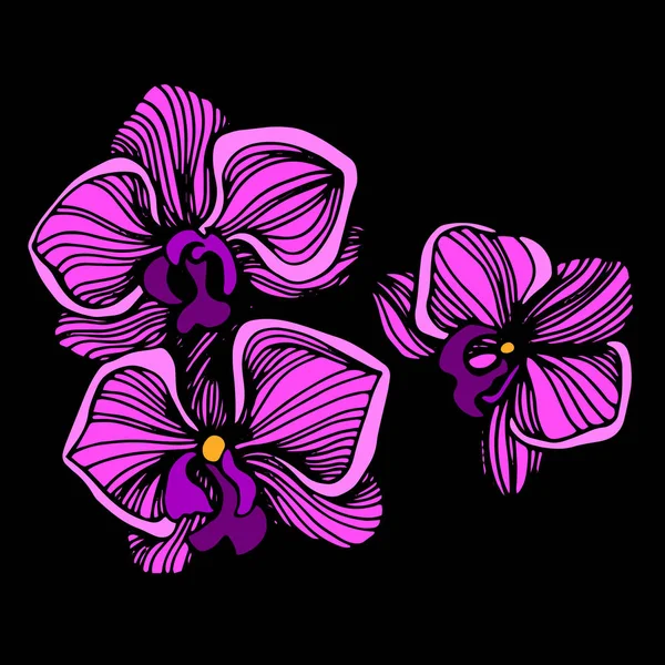 Ilustración de dibujos animados del icono del vector de la orquídea para. Conjunto dibujado a mano con flores de orquídea. Ilustración vectorial en blanco y negro . — Archivo Imágenes Vectoriales