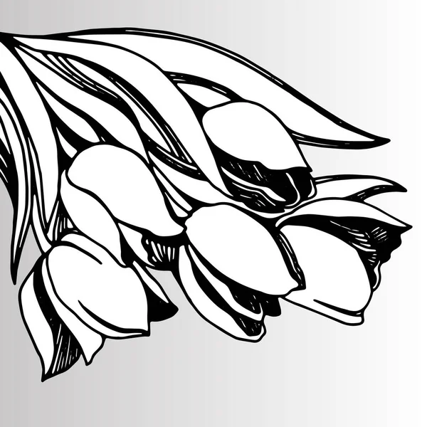 Silueta flor de tulipán. Obras de arte vectoriales. Regalo para niña y mujer . — Vector de stock