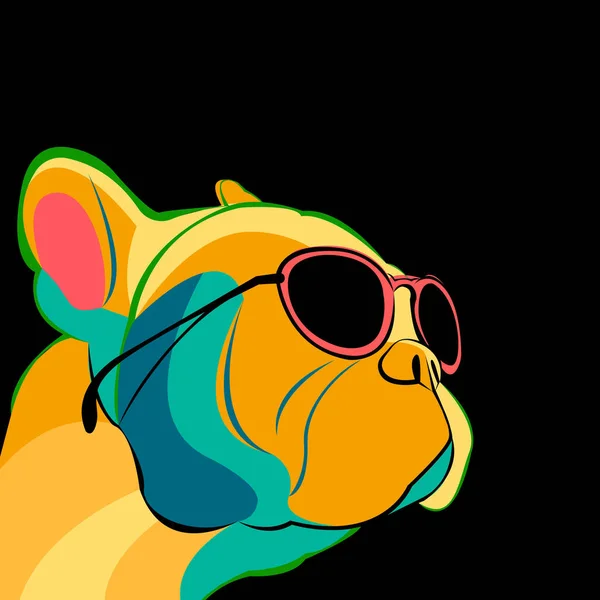 vektör yakın aile içi köpek Fransız Bulldog ırkı portresi