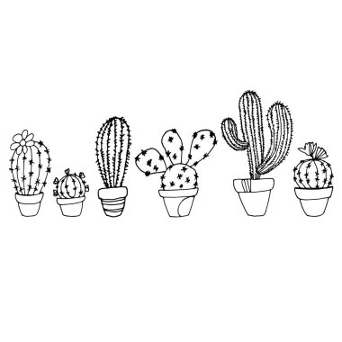 kaktüs, doğa, illüstrasyon, vektör, bitki, yeşil, çiçek, sanat