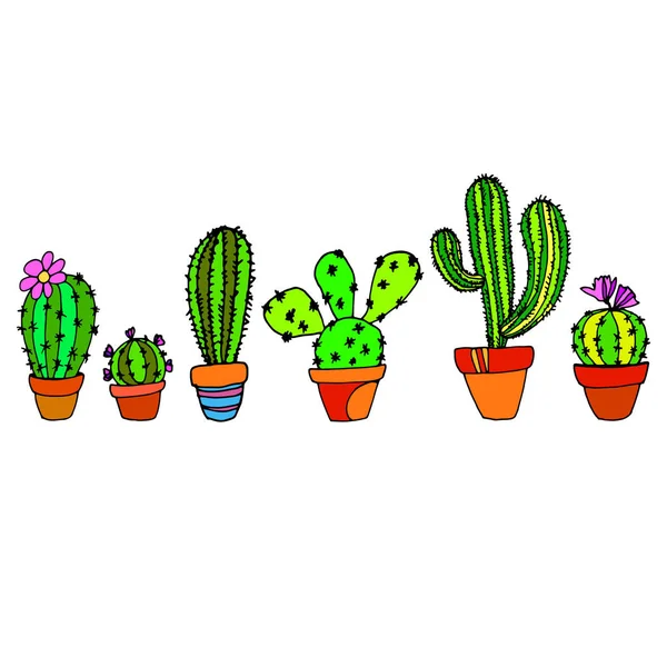 Cactus, nature, illustration, vector, plant, green, flower, art — Stock Vector