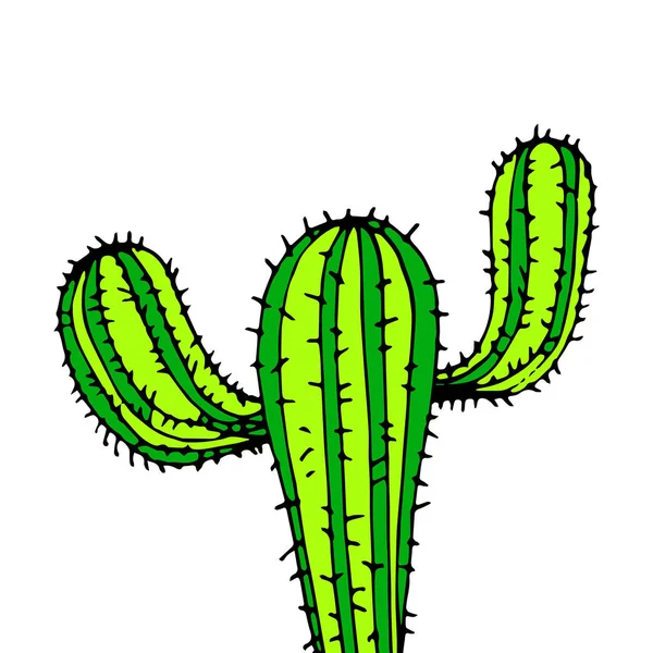 Cactus, natura, illustrazione, vettore, pianta, verde, fiore, arte — Vettoriale Stock