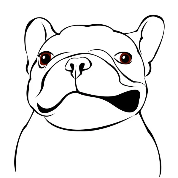 Perro, vector, raza, tierna, mascota, animal, bulldog, francesas — Vector de stock