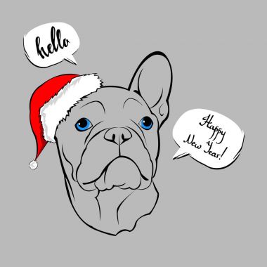 Fransızca portre bir Noel Baba'nın şapkayla bulldog. Vektör çizim.