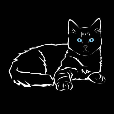 kedi, hayvan, kontur, çizim, yaratıcı, mavi, görüntü, kedicik, satır