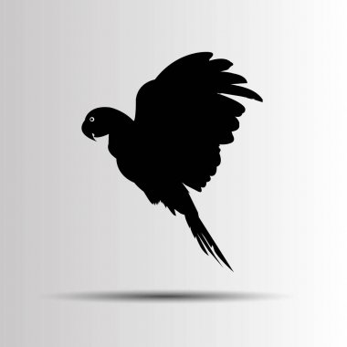 papağan kuş vektör tropikal Amerika papağanı kırmızı renkli