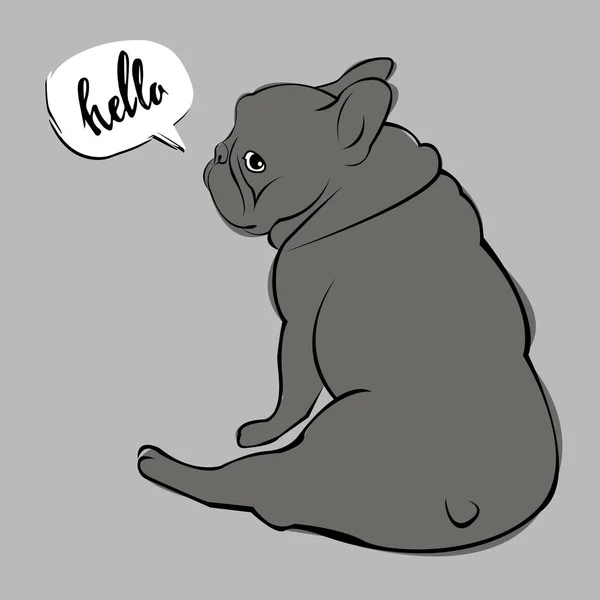 Bulldog, perro, animal, francesas, vector, ilustración, mascota, raza, tierna, dibujo, cachorro — Archivo Imágenes Vectoriales