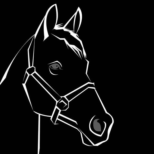 Vetor, cavalo, animal, ilustração, mustang, mamífero, desenho, selvagem, garanhão — Vetor de Stock