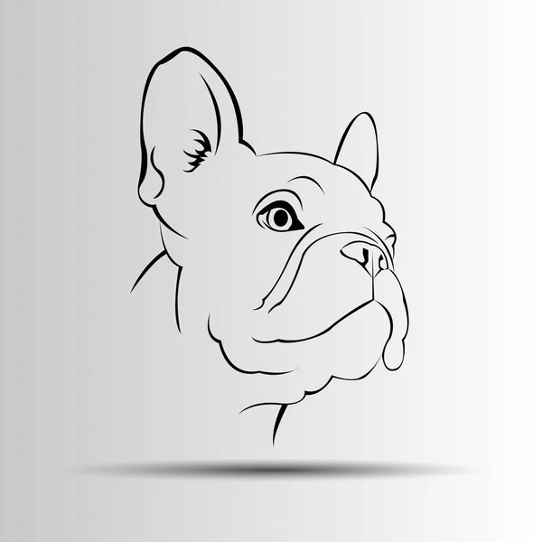 Hundevektor Rasse niedlich Haustier Bulldogge Französisch — Stockvektor