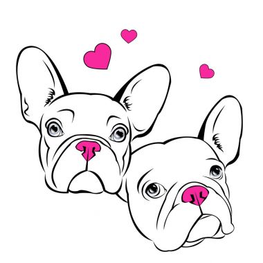 köpek vektör doğurmak şirin evde beslenen hayvan hayvan bulldog Fransız