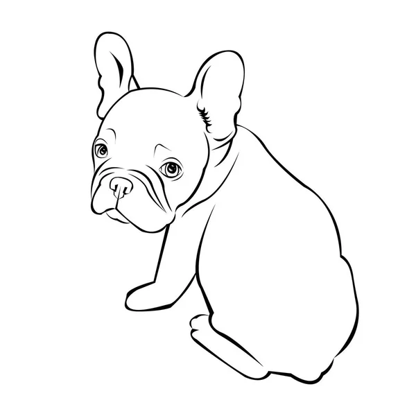 Perro vector crianza lindo animal animal bulldog francés — Archivo Imágenes Vectoriales