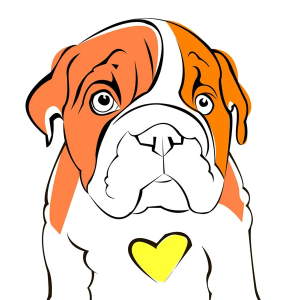 Bulldog Inglés perro raza retrato ilustración cara — Vector de stock