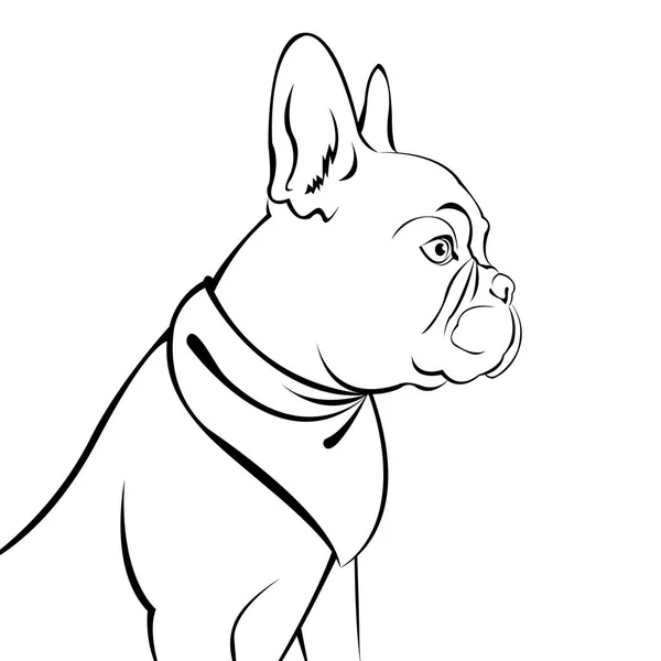 Chien vecteur race mignon animal animal bouledogue français — Image vectorielle