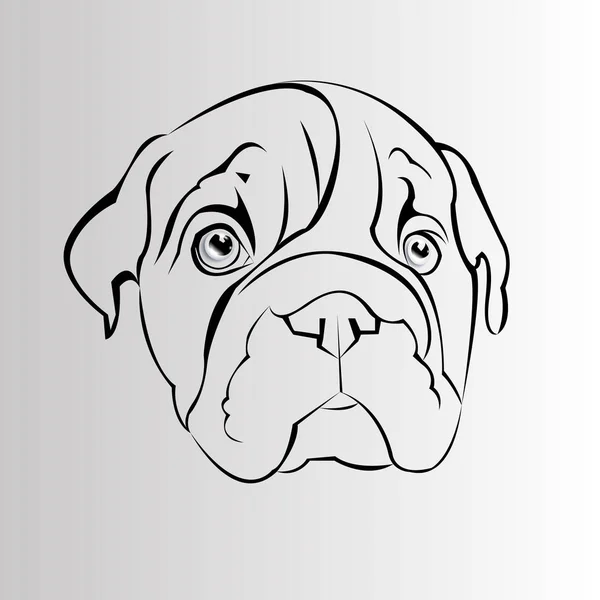 Bulldog inglese cane razza ritratto illustrazione faccia — Vettoriale Stock