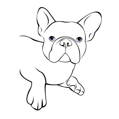 köpek vektör doğurmak şirin evde beslenen hayvan hayvan bulldog Fransız