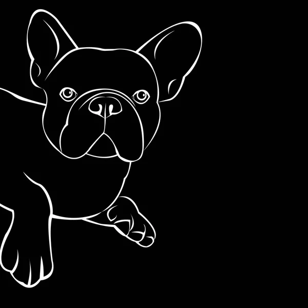 Cão vetor raça bonito animal de estimação bulldog francês — Vetor de Stock