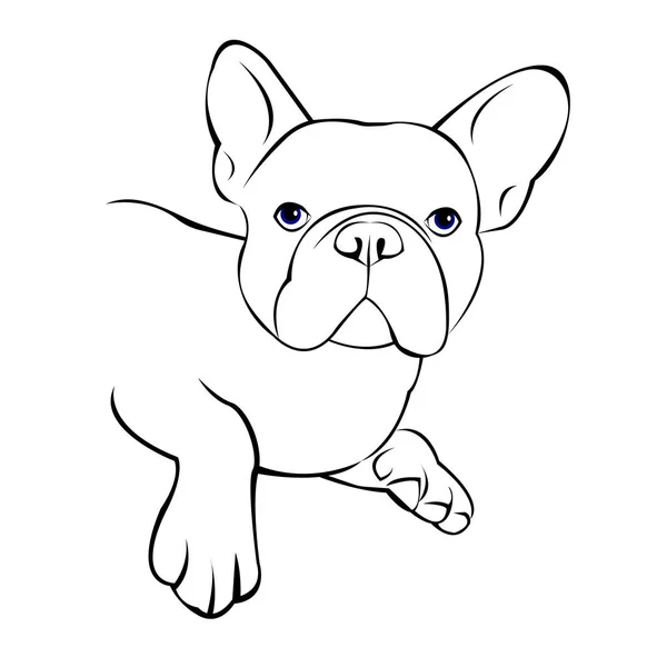 Francouzský pes vektor plemeno roztomilý domácí zvířata zvířecí buldok — Stockový vektor