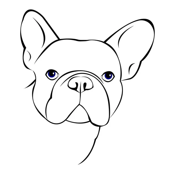 Kutya vektor fajta aranyos kisállat állat bulldog francia — Stock Vector