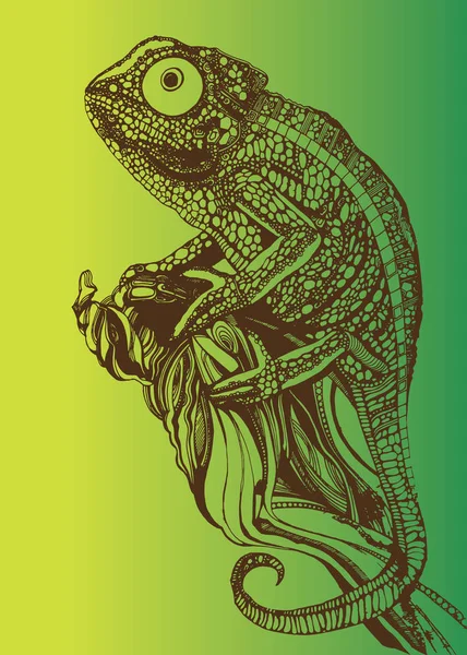 Lagarto camaleón dibujo detalles gráficos de color — Vector de stock