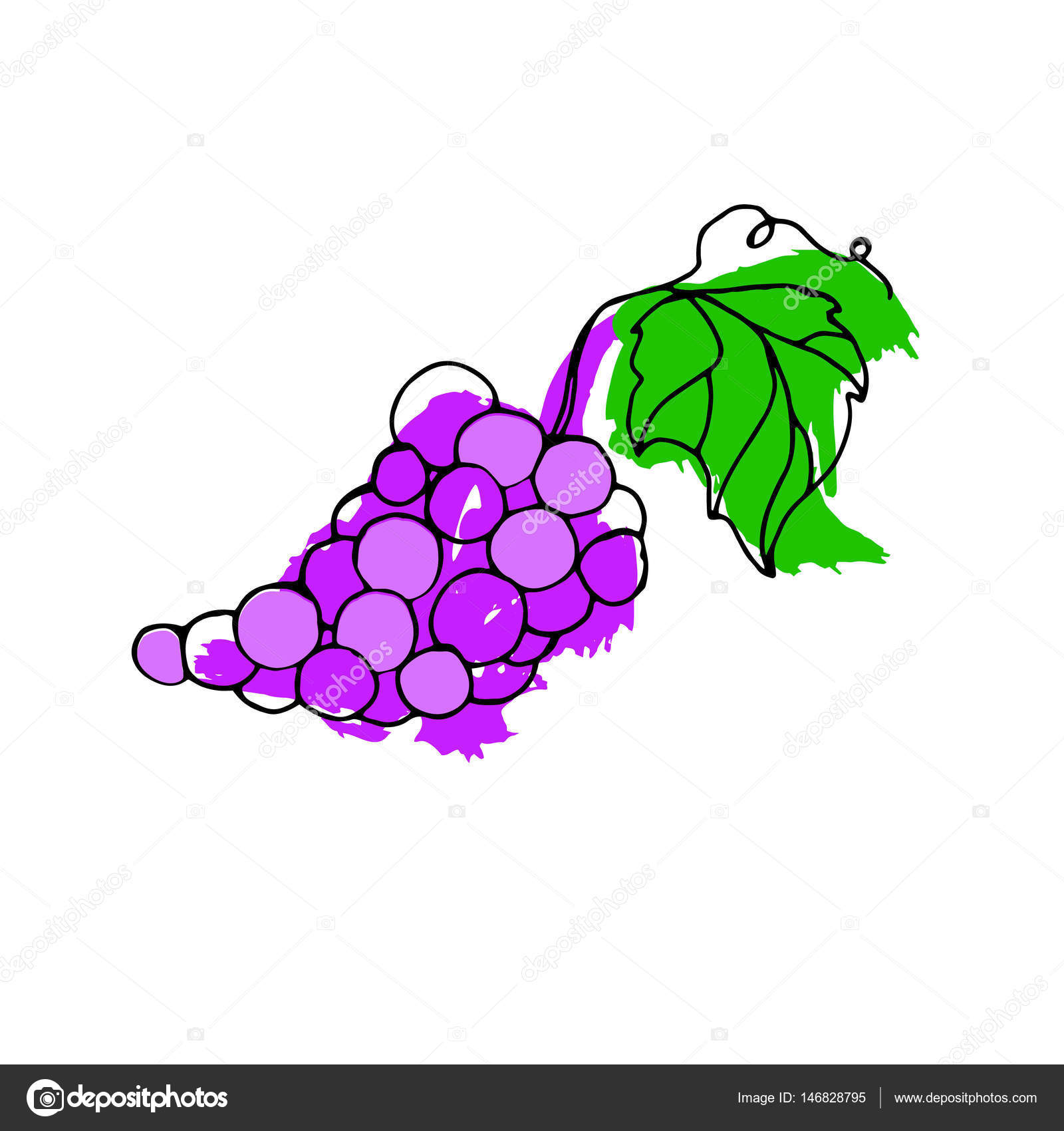 最高ぶどう 葉 イラスト 美しい花の画像 最高ぶどう 葉 イラスト 美しい花の画像