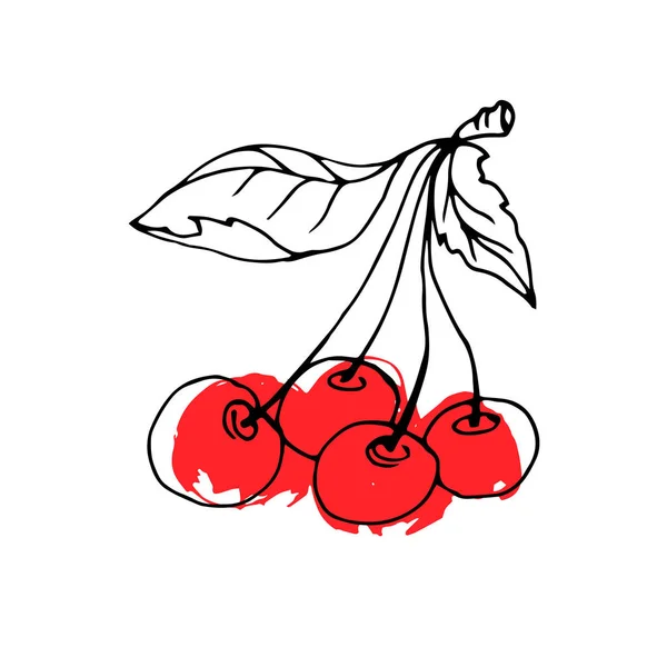 Cherry, wektor, żywności, owoców, natura, sweet, liść, ilustracja, deser — Wektor stockowy