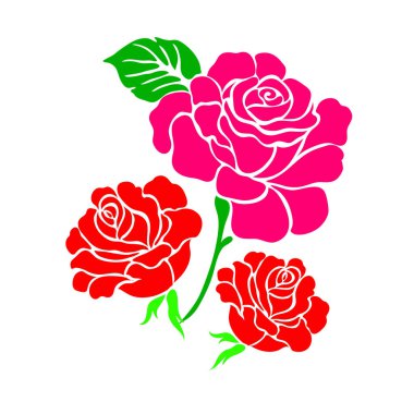 çiçek gül bahar yaz arka plan Botanik Bahçesi