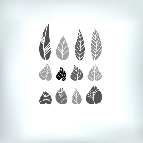 Blad collectie - vector. grijze bladeren silhouetten. verschillende vormen — Stockvector
