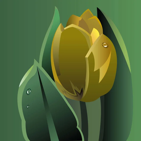 矢量花卉插图自然郁金香绿色 — 图库矢量图片