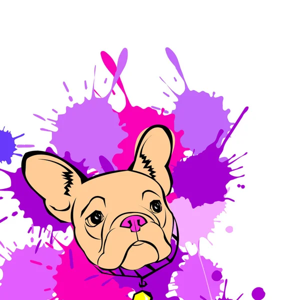 Chien vecteur race mignon animal animal bouledogue français — Image vectorielle