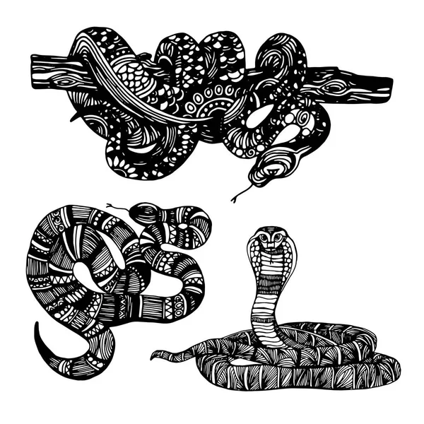 Lindos animales serpiente. Bonita serpiente divertida. Camiseta Tipografía Gráficos, Ilustración . — Vector de stock