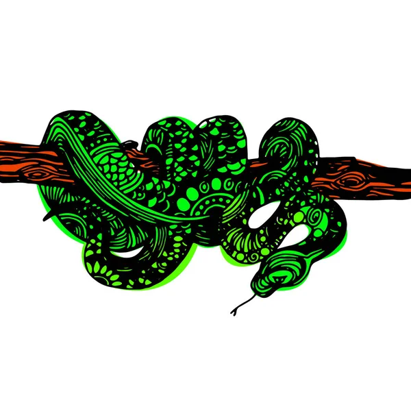 Carino il serpente degli animali. Simpatico serpente divertente. T-shirt Tipografia Grafica, Illustrazione . — Vettoriale Stock