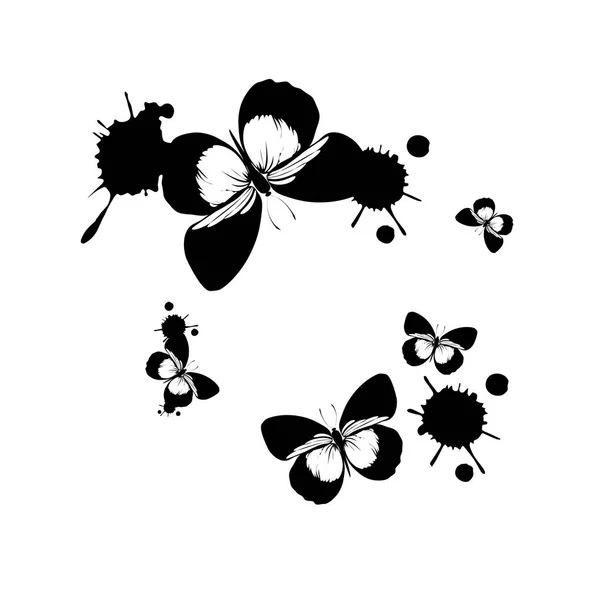 Vecteur papillon insecte art blanc couleur mouche graphique — Image vectorielle