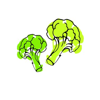 brokoli, gıda, organik, vektör, sebze, illüstrasyon, taze, yeşil, doğa