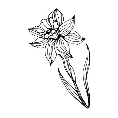 çiçek vektör çiçek arka plan tasarlamak dekoratif