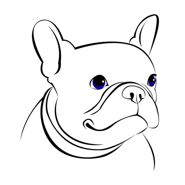 Vector, ras, hond, schattig, huisdier, dier, bulldog, Franse, Franse bulldog — Stockvector