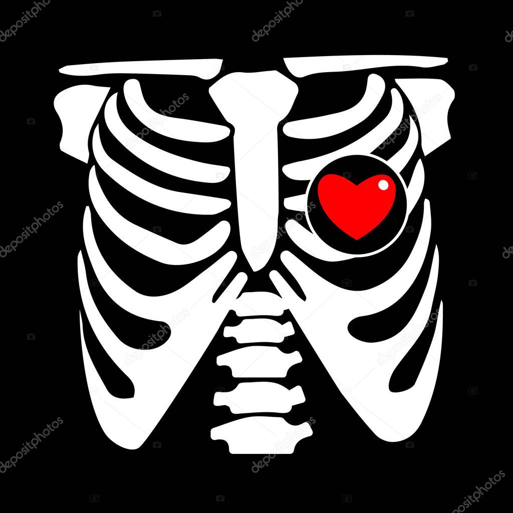 chest, rib, vector, skeleton, heart, bone, illustration, ray, xray, film