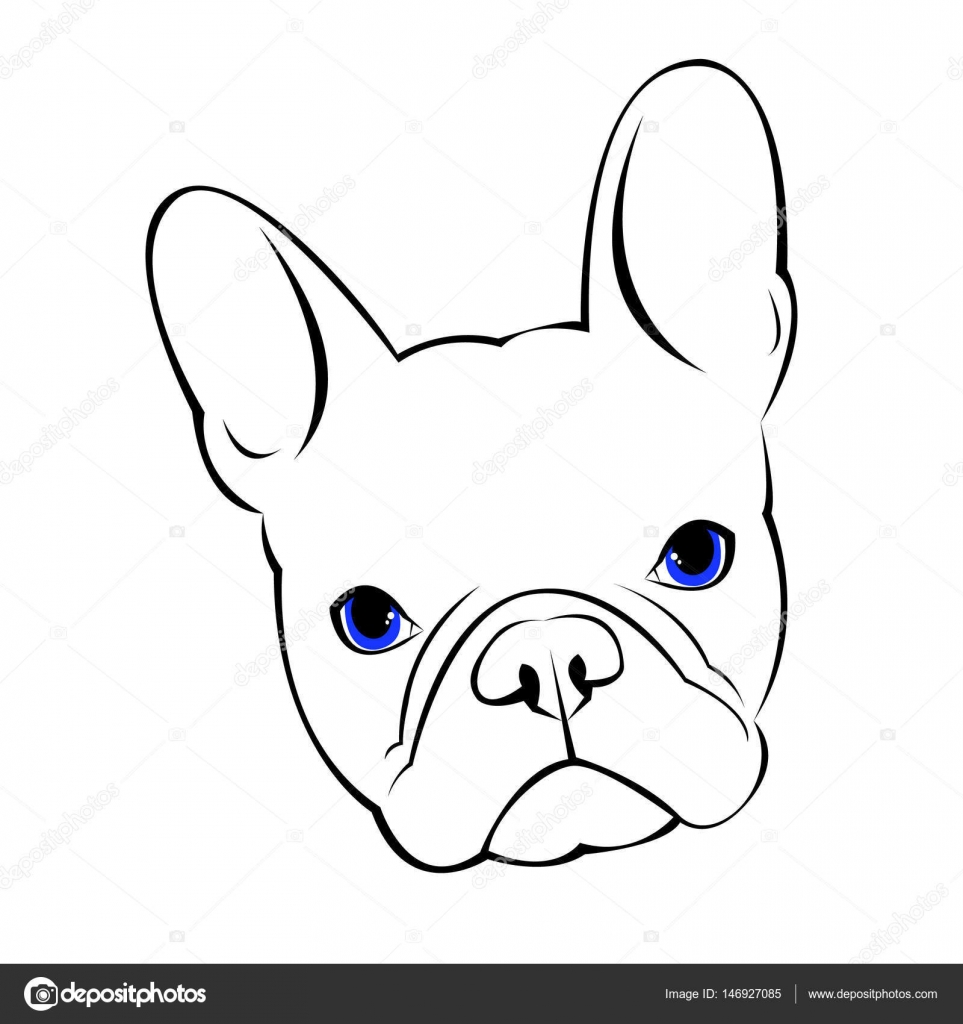 45+ French Bulldog Drawing Cute