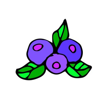 meyve yemek yaban mersini vektör berry organik meyve suyu tatlı sağlıklı taze yaprak