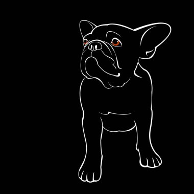 Bulldog, köpek, hayvan, Fransız, vektör, illüstrasyon, Evcil Hayvan, cins, şirin, çizim, köpek yavrusu