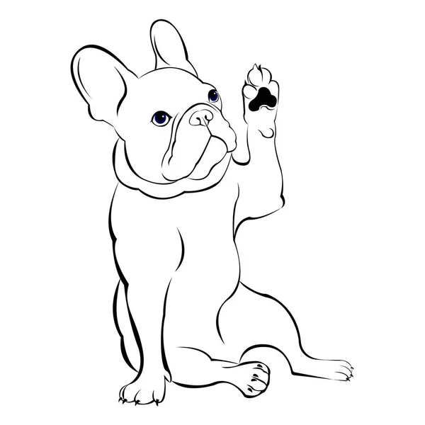 Vektor, ras, hund, Söt, pet, djur, bulldog, Fransk, fransk bulldog — Stock vektor