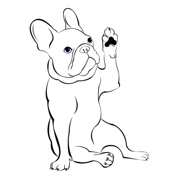 Chien, vecteur, race, mignonette, animal, animal, bouledogue, français, bouledogue français — Image vectorielle