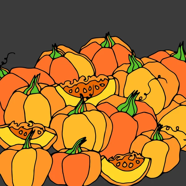 Pumpkin vector autumn illustration halloween vegetable food vegetarian orange — Stock Vector
