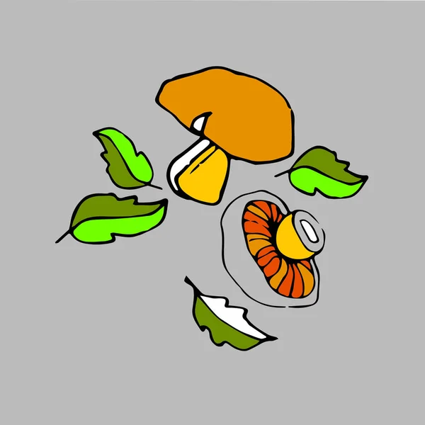 Hub vektor organických ilustrace nohou houba přírodní rostlinné, zdravé — Stockový vektor