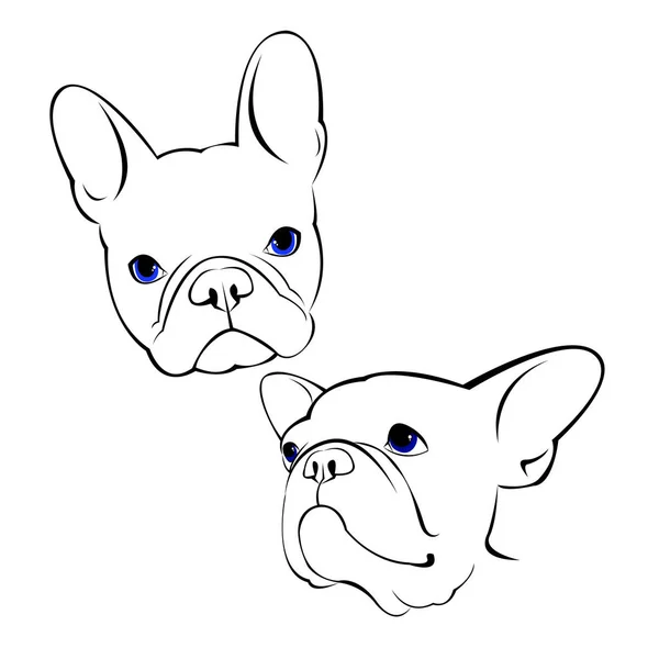 Bulldog, hund, djur, franska, vektor, illustration, pet, ras, Söt, teckning, valp — Stock vektor