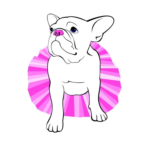 Bulldog, cão, animal, francêsas, vetor, illust, animal de estimação, raça, fofa, puxando, cachorro — Vetor de Stock