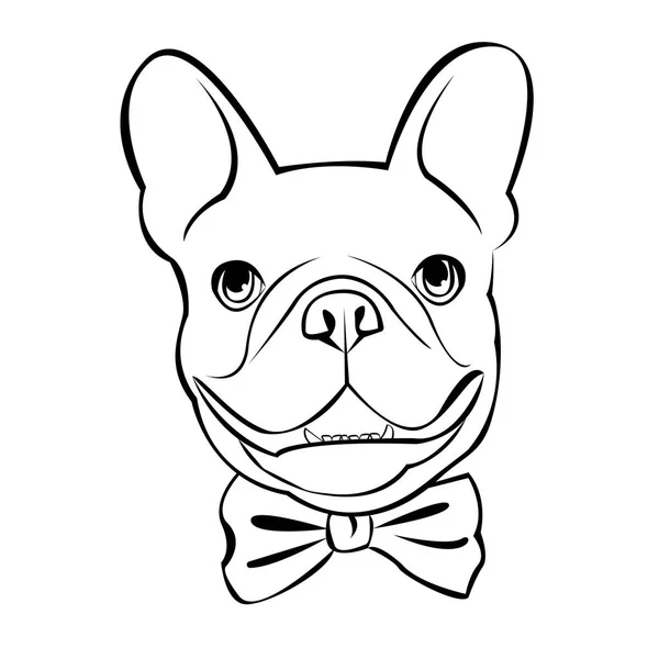 Bulldogge, Hund, Tier, Französisch, Vektor, Illustration, Haustier, Rasse, niedlich, Zeichnung, Welpe — Stockvektor