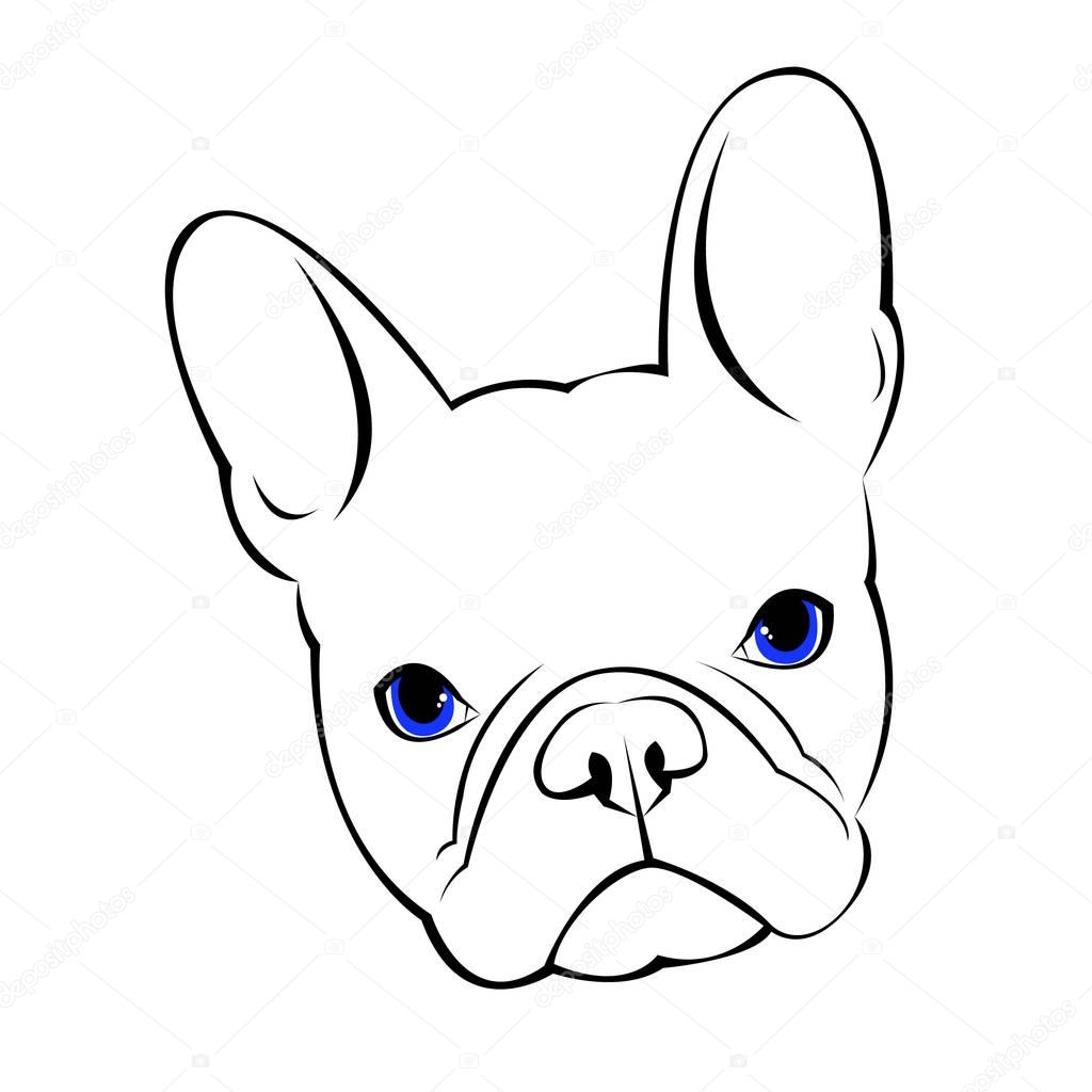bulldog, dog, animal, french, vector, illustration, pet, breed, cute, drawing, puppy